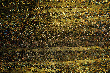 Similar image 1205864