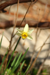 Similar image 1205869