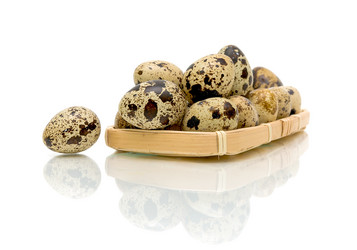 Similar image 1205881