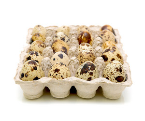 Similar image 1205886