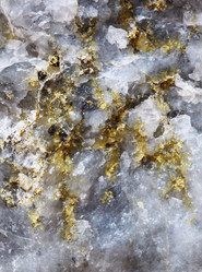 Similar image 1205929