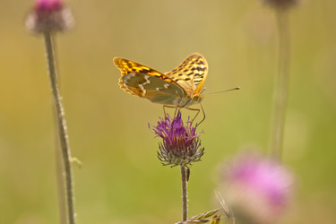 Similar image 1205944