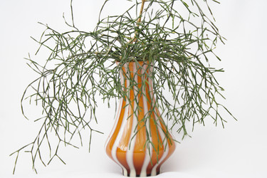 Similar image 1205947