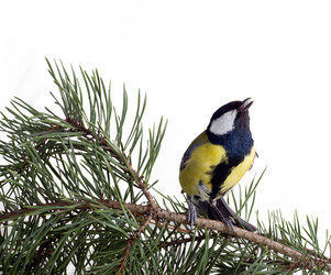 Similar image 1205952