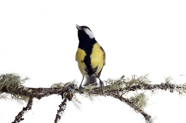 Similar image 1205953