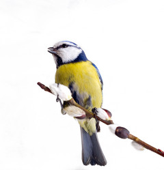 Similar image 1205958