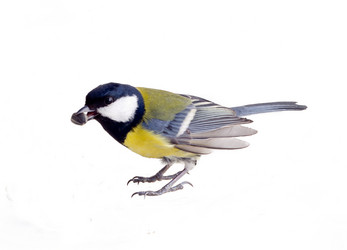 Similar image 1205961