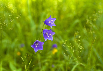 Similar image 1206112