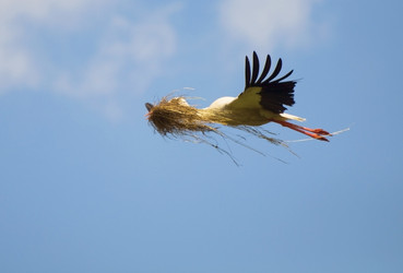 Similar image 1206113