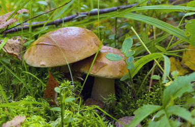 Similar image 1206115