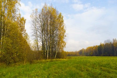 Similar image 1206119