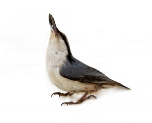 Similar image 1206186