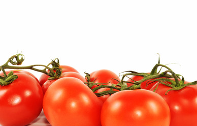 Similar image 1206239