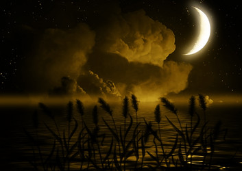 Similar image 1206249