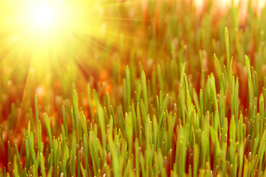 Similar image 1206250