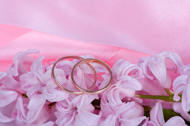 Similar image 1206286