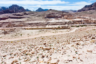 Similar image 1206321