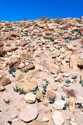 Similar image 1206326