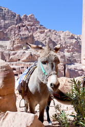 Similar image 1206394