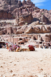 Similar image 1206400