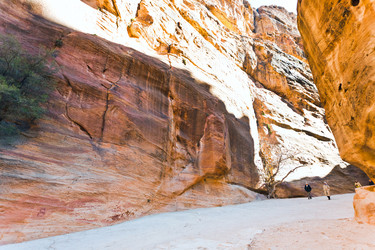 Similar image 1206460