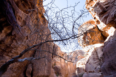 Similar image 1206477