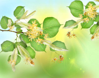 Similar image 1206497