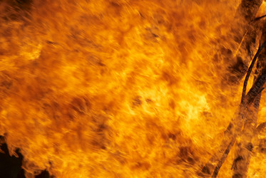 Similar image 1206515