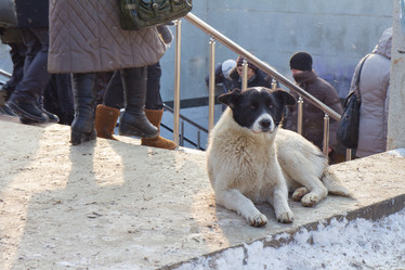 Similar image 1206590