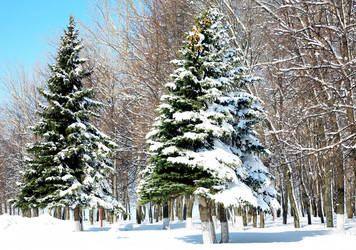 Similar image 1206672