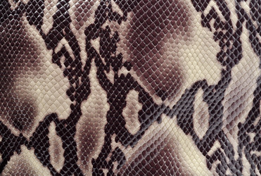 Similar image 1206709