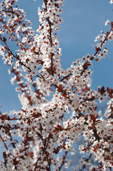 Similar image 1206791