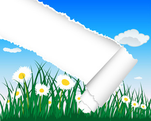 Similar image 1206961