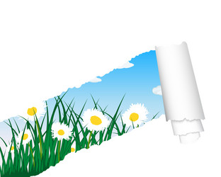 Similar image 1206962