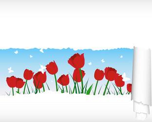 Similar image 1206964