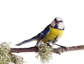 Similar image 1206985