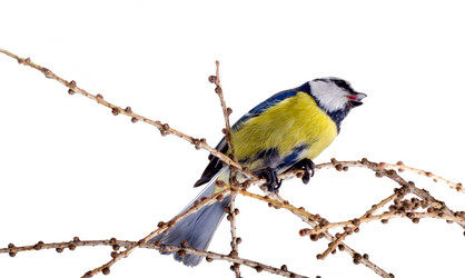 Similar image 1206986