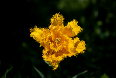 Similar image 1207088