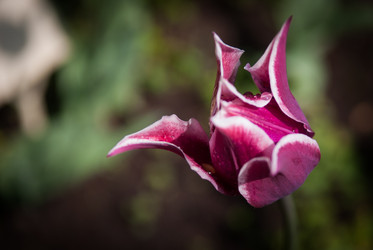 Similar image 1207089