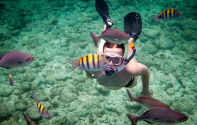 Similar image 1207160