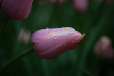 Similar image 1207286