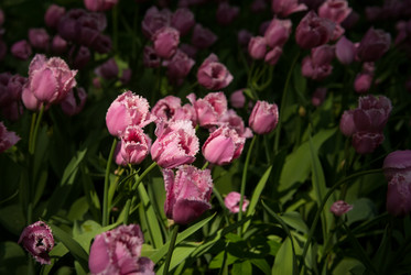 Similar image 1207288