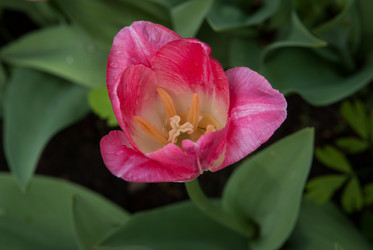 Similar image 1207289