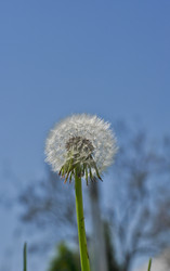 Similar image 1207431