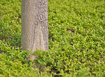 Similar image 1207564