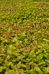 Similar image 1207575