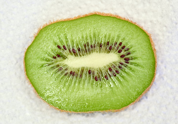 Similar image 1207590