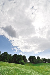 Similar image 1207600