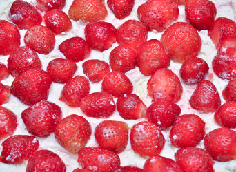 Similar image 1207639