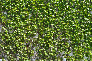 Similar image 1207654